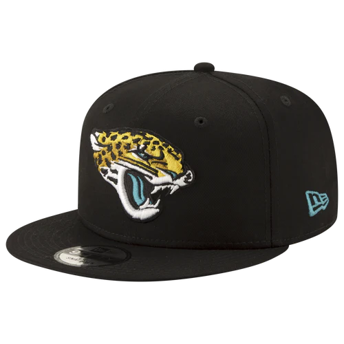 NEW ERA Dolphins Basic