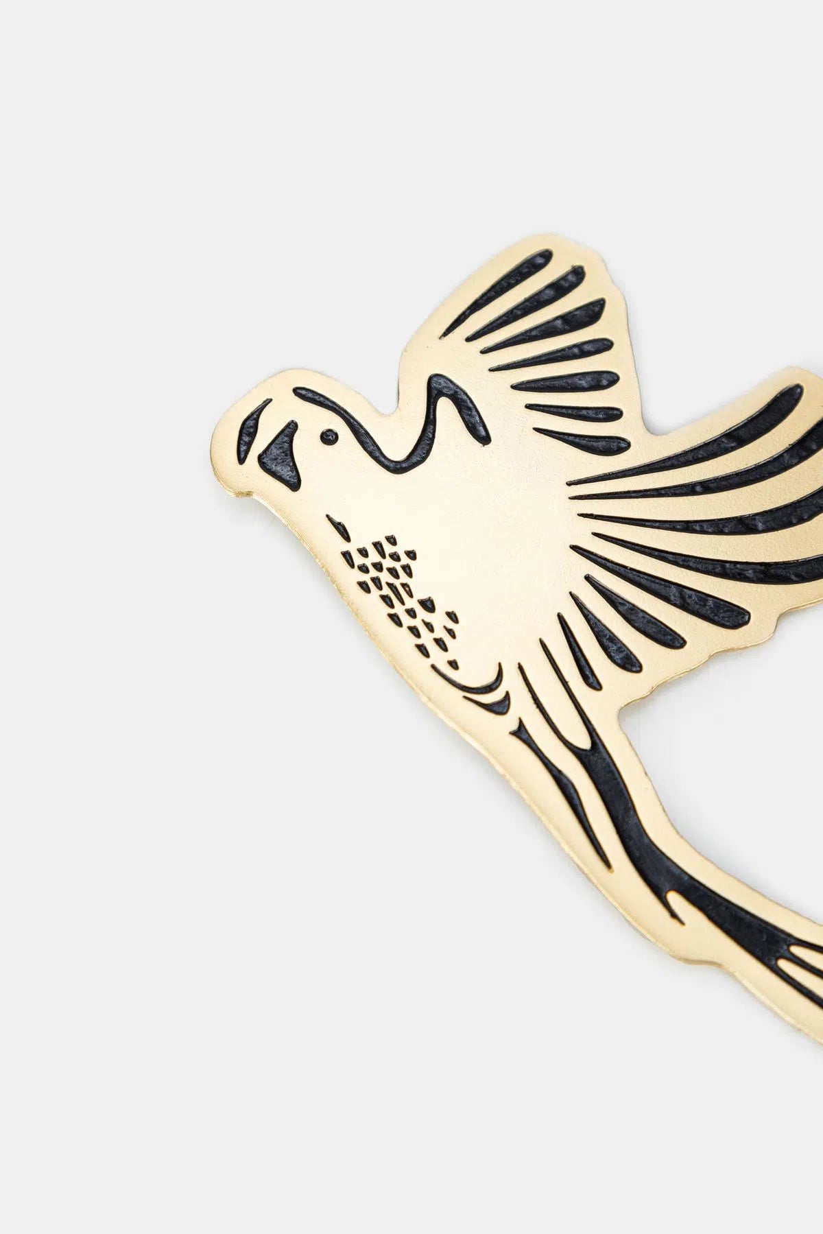 ARETAS GUACAMAYA EN LÁMINA RESINA EN CONTRASTE