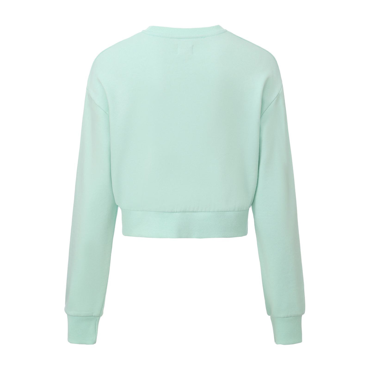 HZ262P60039-PALM HORIZON CROPPED CREWNECK