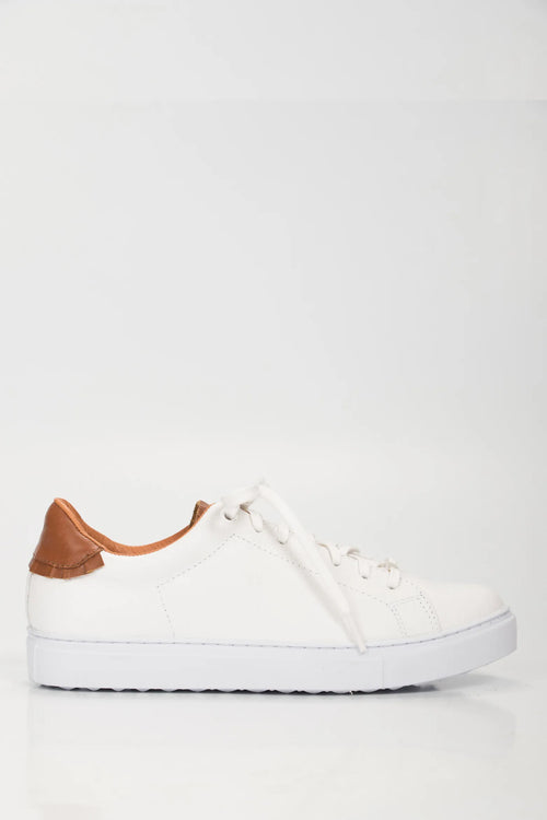 1030794 Sneakers casual de cuero combinados