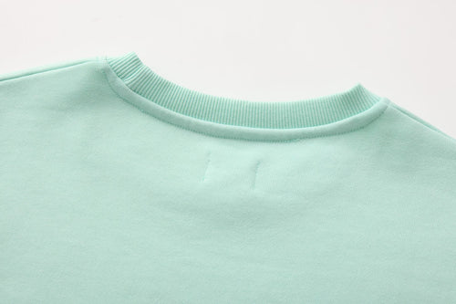 HZ262P60039-PALM HORIZON CROPPED CREWNECK